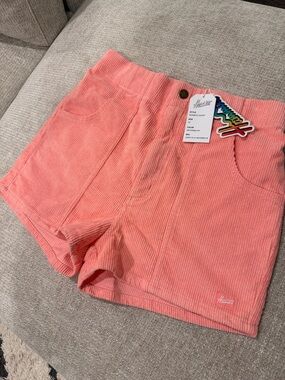 Women’s Hammies Pink Corduroy Shorts
